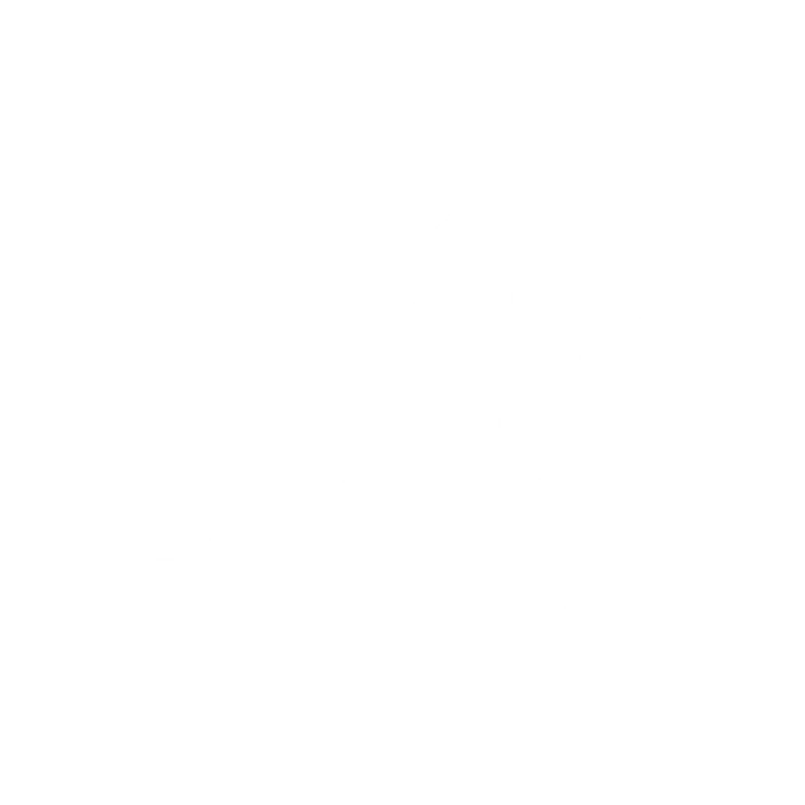 Fungi Frontiers